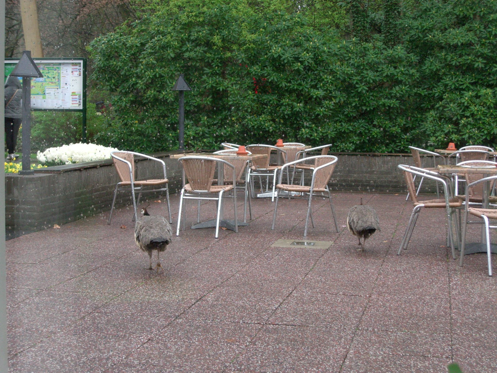 Netherlands Keukenhof